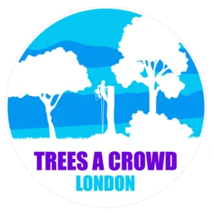 Qualified tree surgeon in Enfield