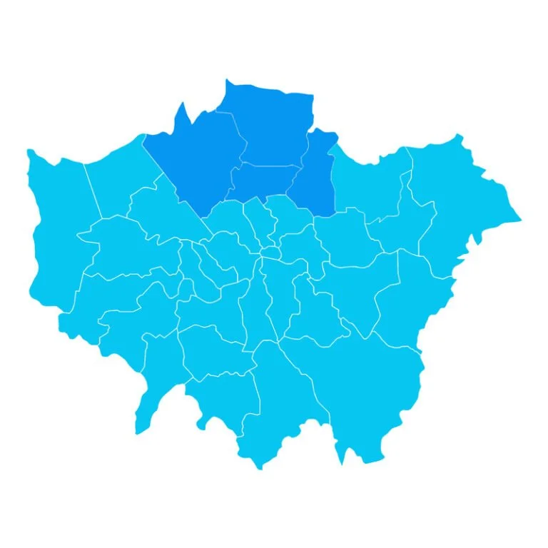 North London and Enfield Tree Surgeon
