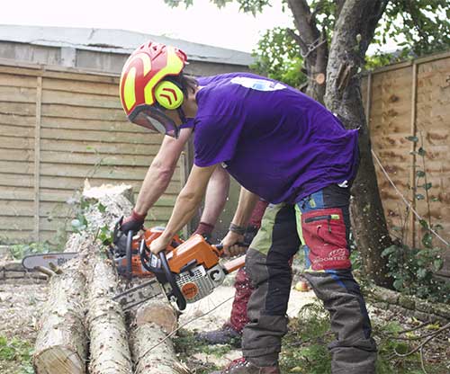 Tree surgeons in North London and Enfield